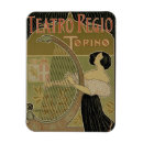 Search for theatre rectangular magnets 19th