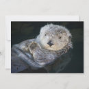 Search for sea otter cards Monterey bay