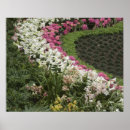 Search for rhododendron posters Botanical