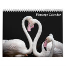 Search for flamingo calendars Animals
