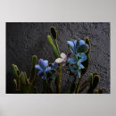 Search for desert life posters Landscape