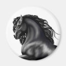 Search for filly magnets Pony