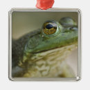 Search for arkansas christmas tree decorations State