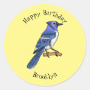 Search for blue jay stickers Cyanocitta cristata