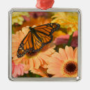 Search for bronze christmas tree decorations Butterfly