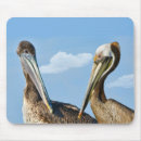 Search for two birds mousepads Animals