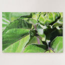 Search for tiny puzzles Green