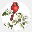 Search for dogwood blossom stickers Nature