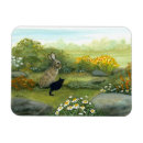 Search for rabbit magnets Cat