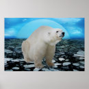 Search for polar bear posters Global warming