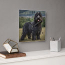 Search for shaggy art Dog