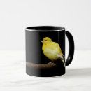 Search for canary mugs Pet