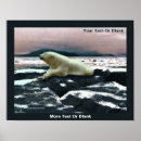 Search for arctic animals posters Wildlife