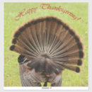 Search for strutting stickers Thanksgiving