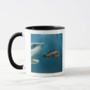 Search for sea bass mugs Nature