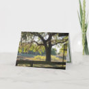 Search for roots cards Nature