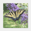 Search for bug pictures magnets Bugs