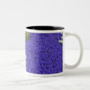 Search for keukenhof mugs Growing