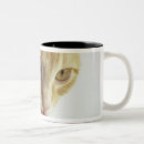 Search for dairy mugs Vertical