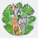 Search for rainforests stickers Kids