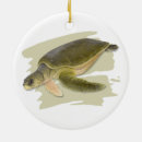 Search for sea turtle christmas tree decorations Reptile