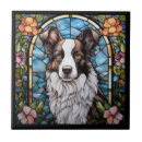 Search for border tiles Collie