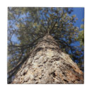 Search for looking up tiles Nature