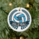 Search for beach volleyball christmas tree decorations School