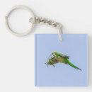 Search for “monk” key rings Monk parakeet