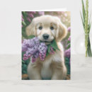 Search for golden retriever mothers day cards Dog