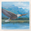 Search for eagle coasters Animals