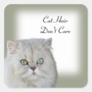 Search for crazy cat lady stickers Meow