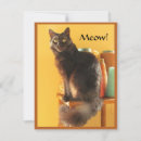 Search for hobby cards invites Cat
