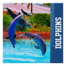 Search for swim art Dolphins