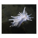 Search for sea kelp art Underwater