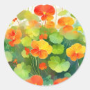 Search for nasturtium stickers Orange
