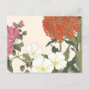 Search for allium postcards Floral