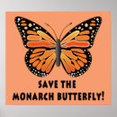 Search for save butterflies posters Butterfly
