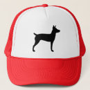 Search for pet rats hats Animals