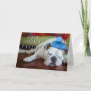 Search for getty cards English bulldog