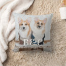 Search for dog cushions Typography