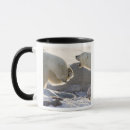 Search for hudson bay mugs Churchill