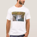 Search for chuck haney tshirts Stone