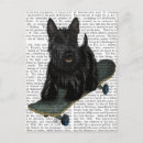 Search for skateboard postcards Flowers