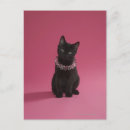 Search for black kitten postcards Feline