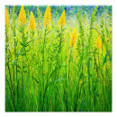 Search for sun flower posters Sunshine