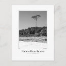 Search for hilton head postcards Sandy beach
