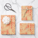 Search for reptile wrapping paper Modern