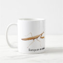 Search for mantis mugs Nature