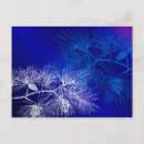 Search for pinecone postcards White